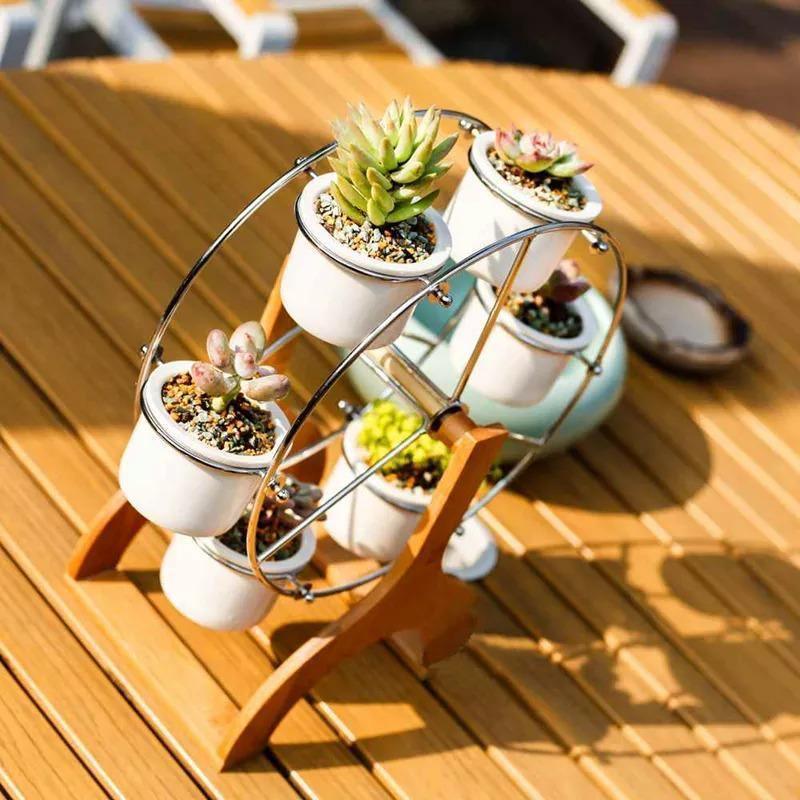 Wooden Carousel with Ceramic Succulent Planters